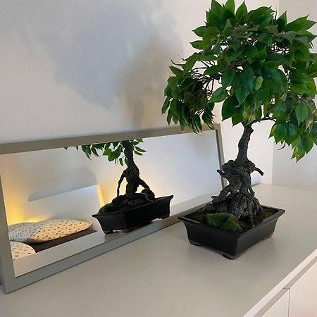 Magnifique Appartement A La Frontiere Suisse Saint-Louis  Exteriör bild
