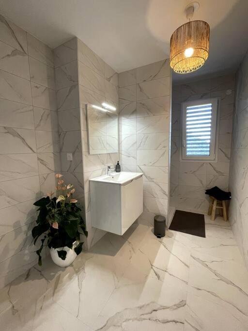 Magnifique Appartement A La Frontiere Suisse Saint-Louis  Exteriör bild