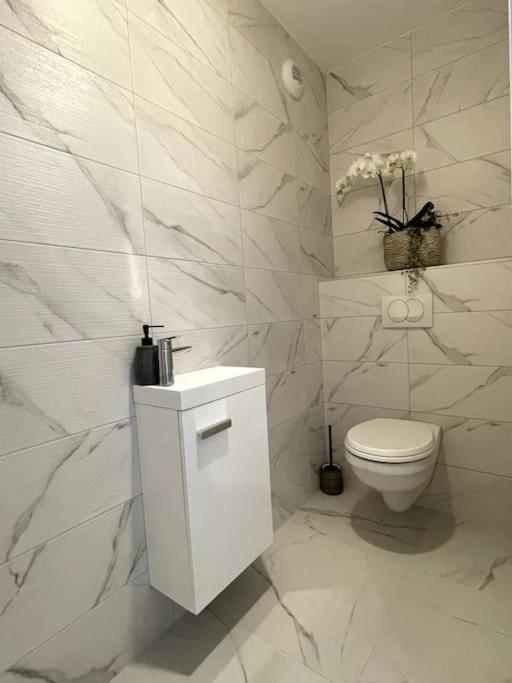 Magnifique Appartement A La Frontiere Suisse Saint-Louis  Exteriör bild